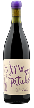 Viña Echeverria Carignan 'No es Pituko'
